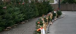 Juletræer og julebukke på femvejen i Charlottenlund