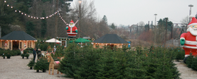 Juletræer på godsbaneterrænet i Charlottenlund